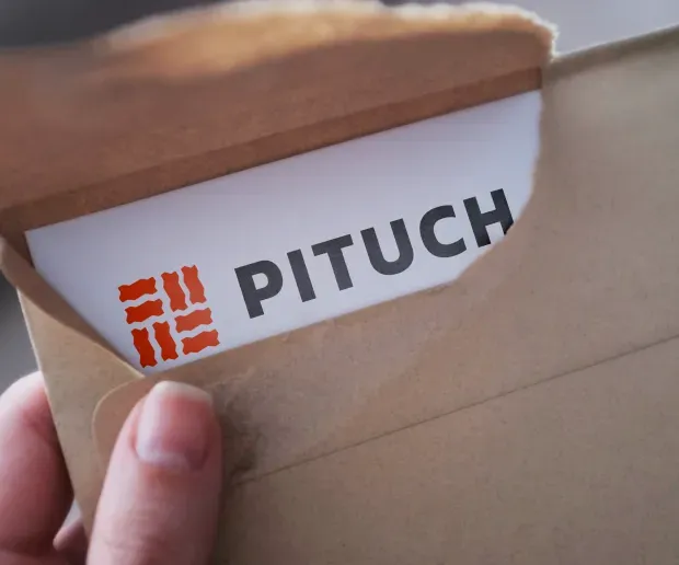 Pituch - Logo design