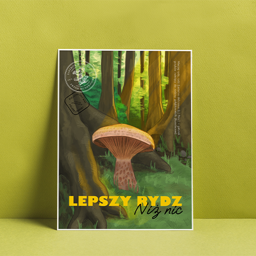 Rydz - Plakat